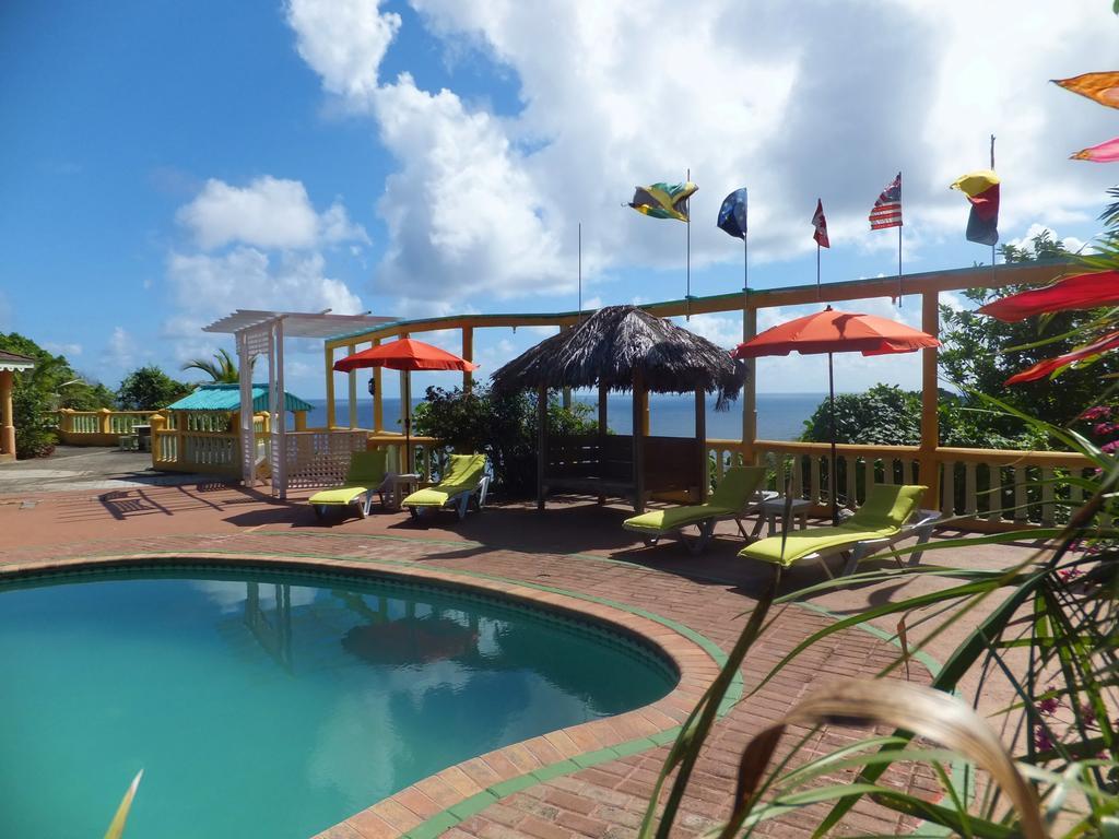 Pimento Alojamento de Turismo Selvagem Port Antonio
