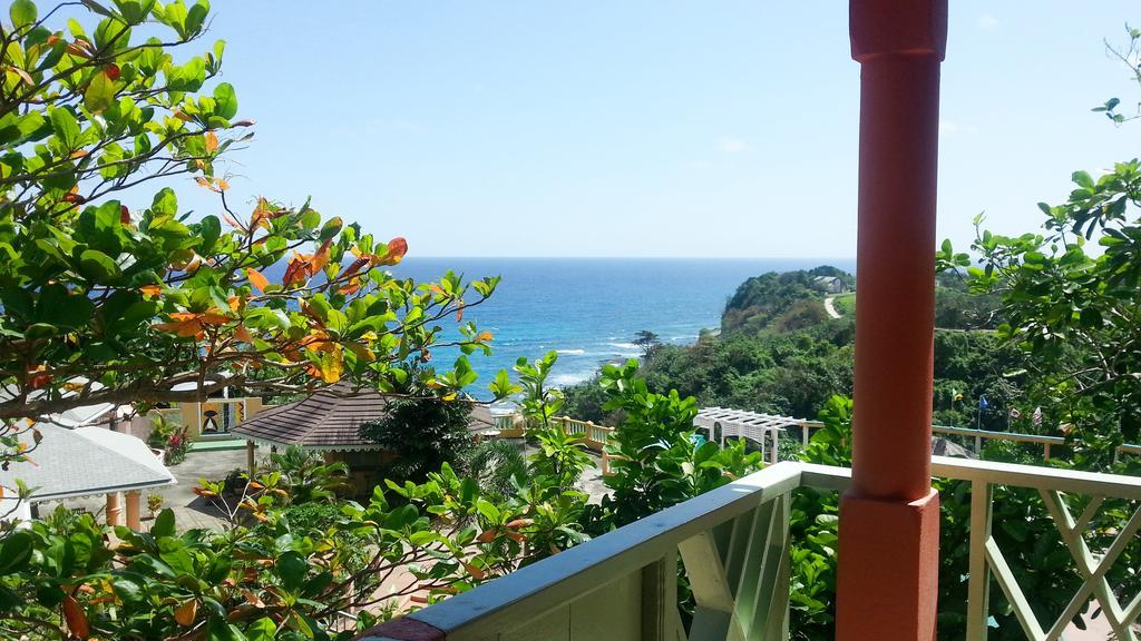 Pimento Alojamento de Turismo Selvagem Port Antonio