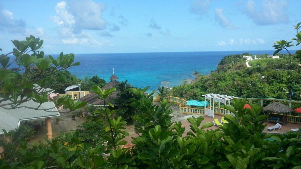 Pimento Alojamento de Turismo Selvagem Port Antonio