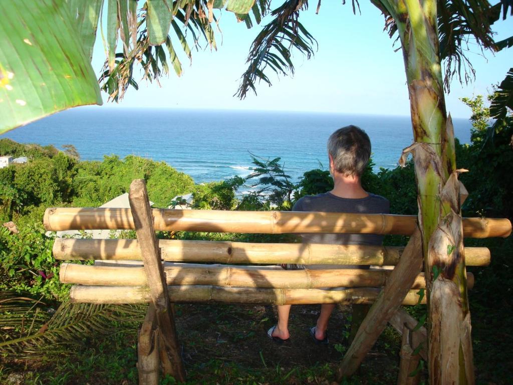 Pimento Alojamento de Turismo Selvagem Port Antonio