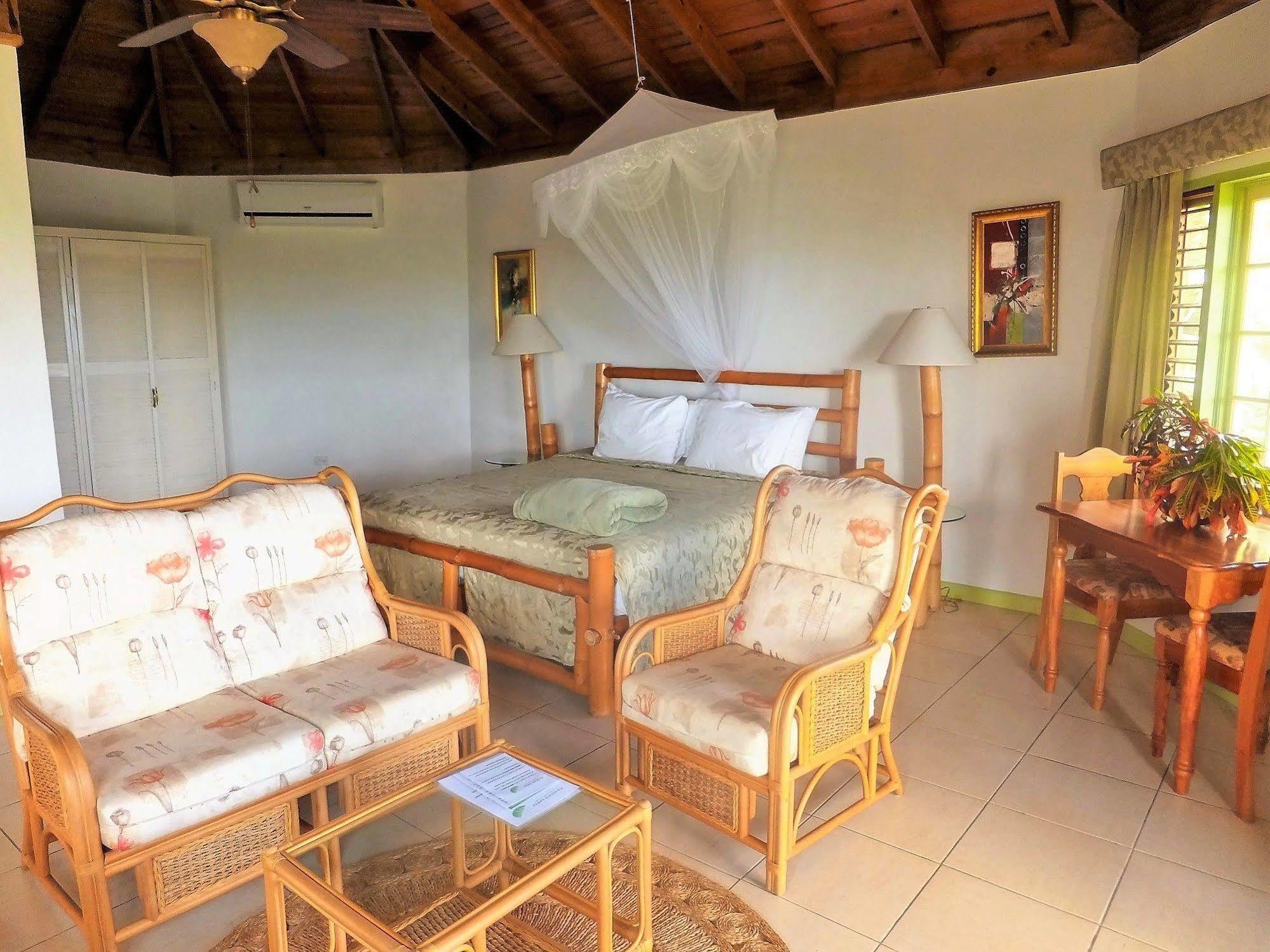 Pimento Alojamento de Turismo Selvagem Port Antonio