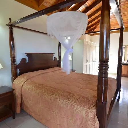 Pimento Lodge Resort Port Antonio Zimmer foto